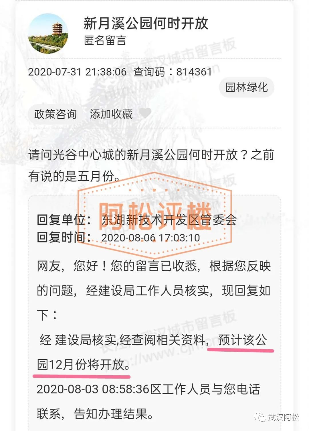 开挂了！比肩世界的爆款区域利好多到数不清！一般人已高攀不起