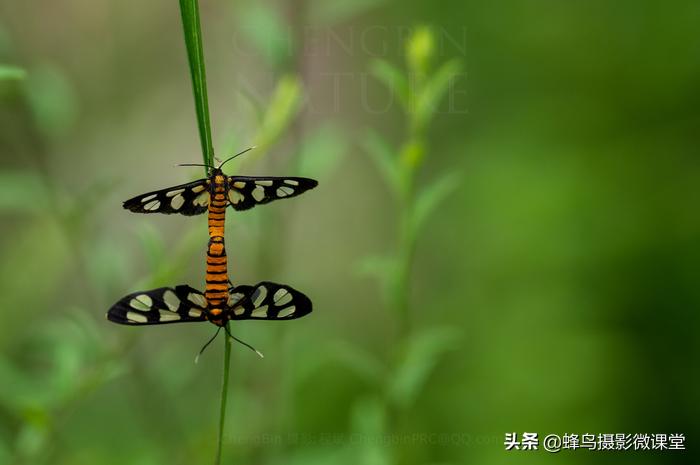 松下全画幅微单s1评测,松下s1全画幅微单拍摄视频
