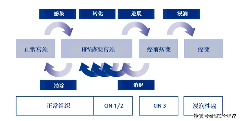 用都安全小黄盒查出hpv阳性，怎么快速转阴？