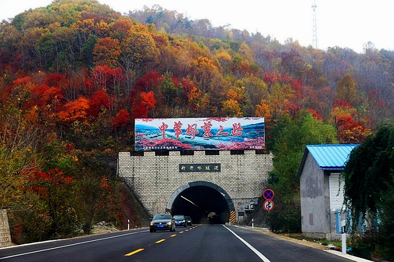 东北杀年猪来吃猪肉,老东北杀年猪