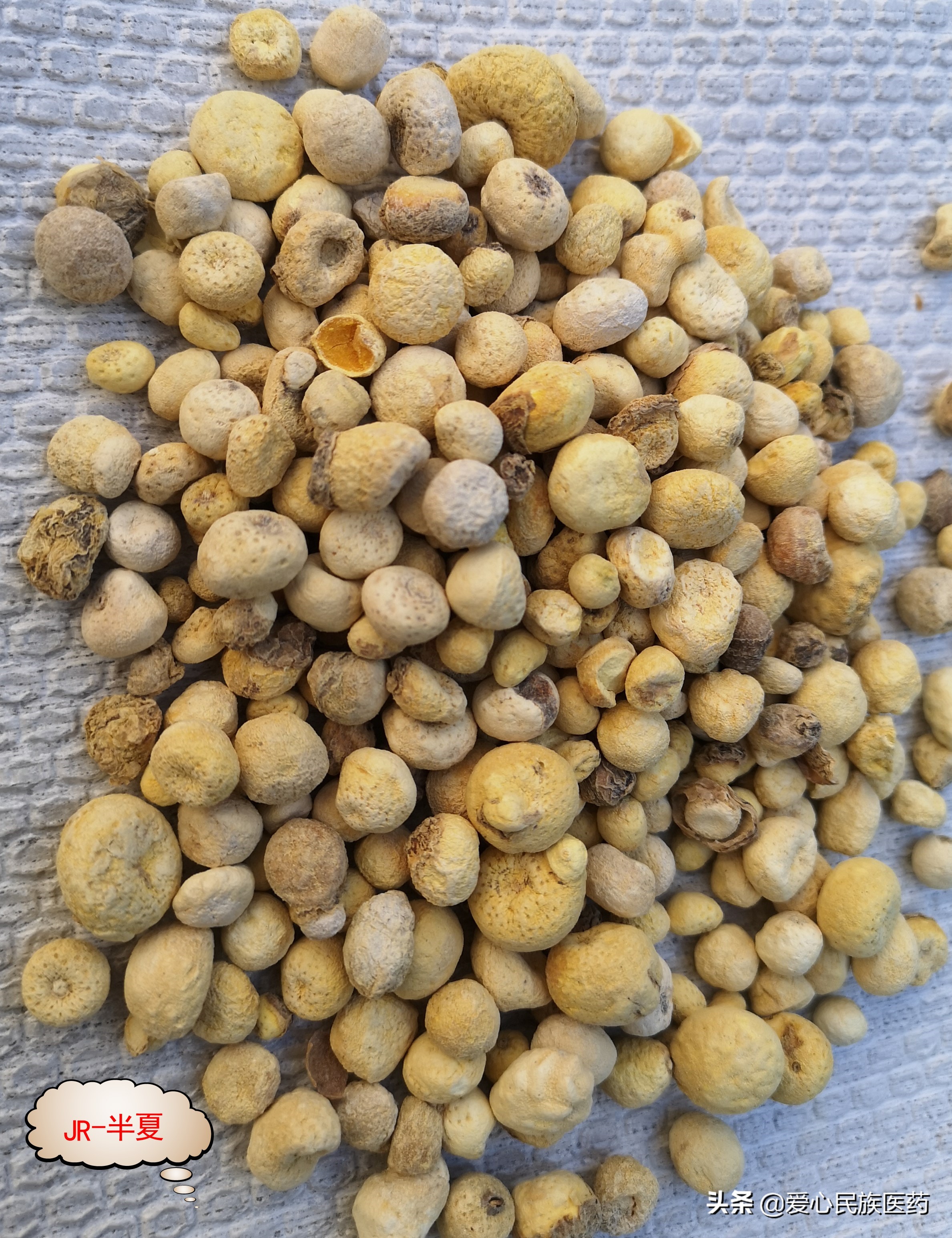 林下仿野生种植中药材优势,林下种植中药材的几条原则