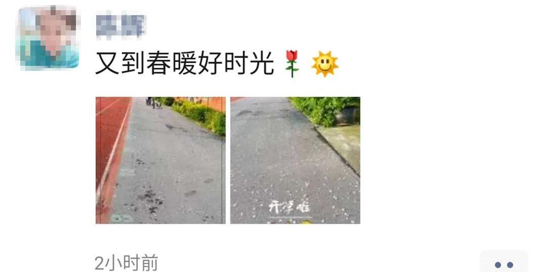 开学现场直击,昆山小学最新消息