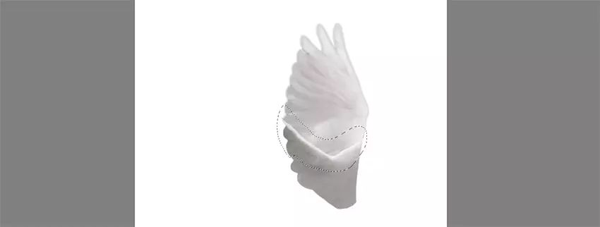 ps小猪怎么做,ps怎么合成驴子