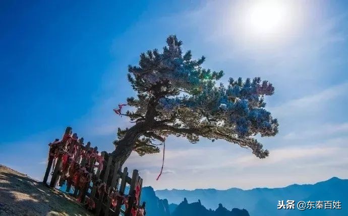 华山景区免费门票预约流程附入口,华山景区门票预约攻略最新
