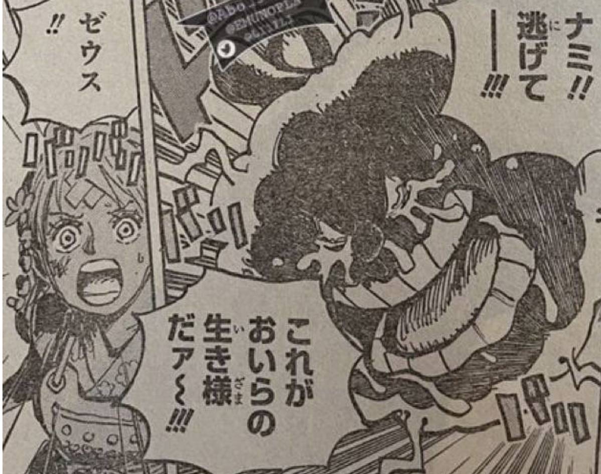 海贼王1045话情报解读,海贼王1035话细节分享