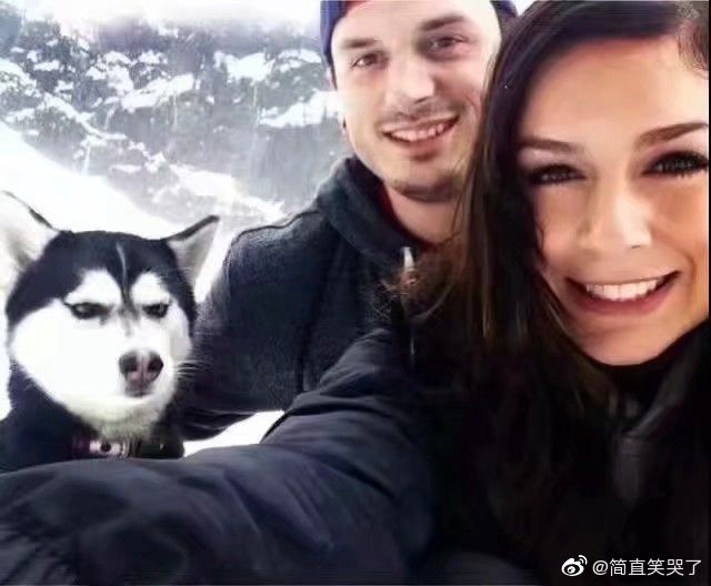 gif动图到ppt上怎么不动,gif动图不动了怎么办