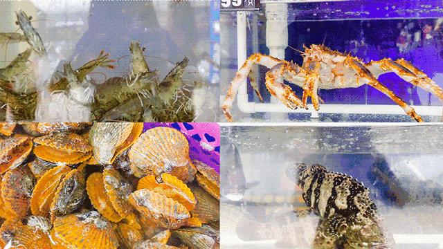 焦作五谷养生煲粥坊套餐,五谷养生煲粥坊抖音团购券