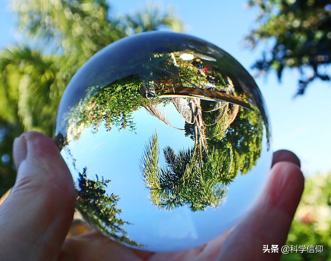 鱼儿眼中的人类,鱼儿眼睛里的世界是怎么样的