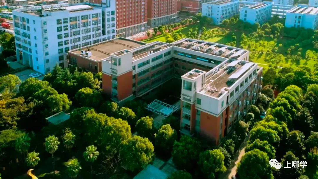 上海闵行区不需要摇号的民办学校,不用摇号就能上的民办小学