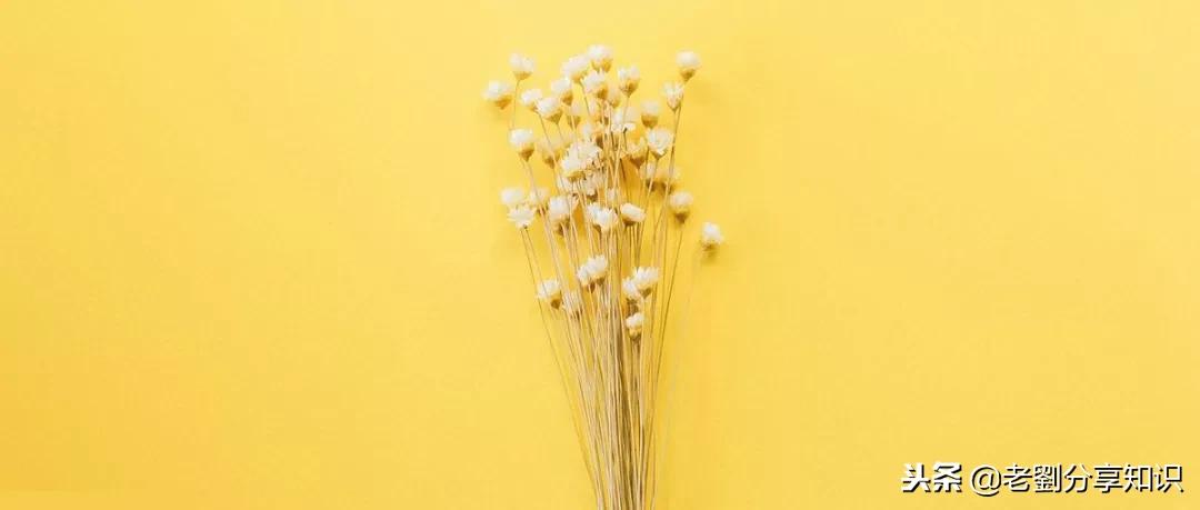 语文名著导读必考题七年级上册,名著导读考点精练七年级上册初中