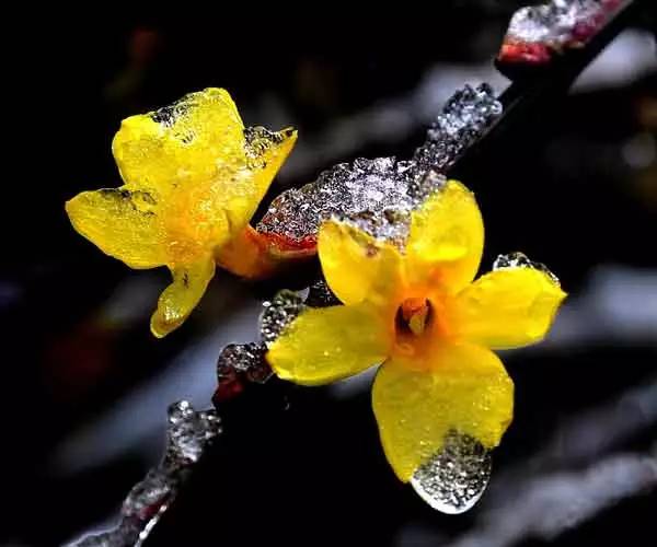 台湾精致农业与乡村旅游,台湾休闲农业和乡村旅游