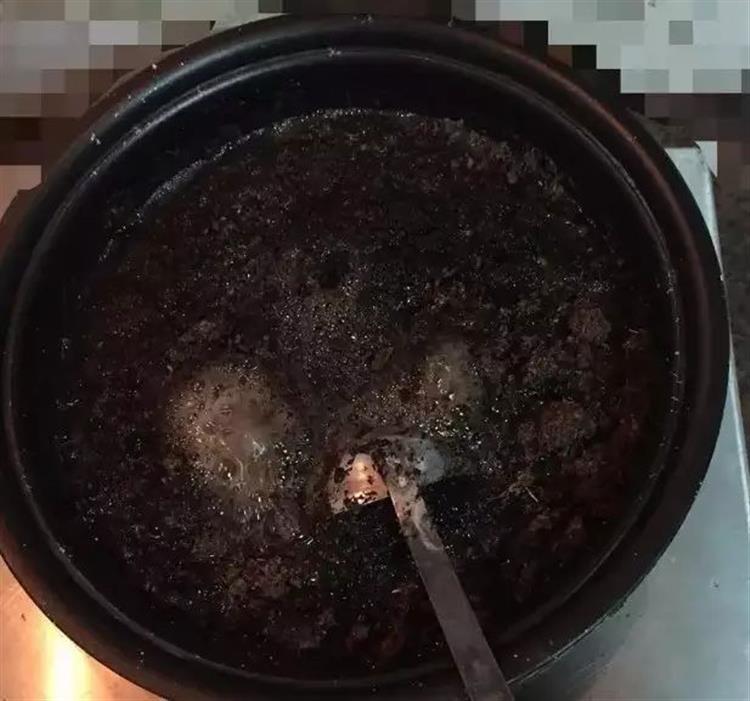 泥炭土发霉长毛,多肉土上发霉是怎么回事