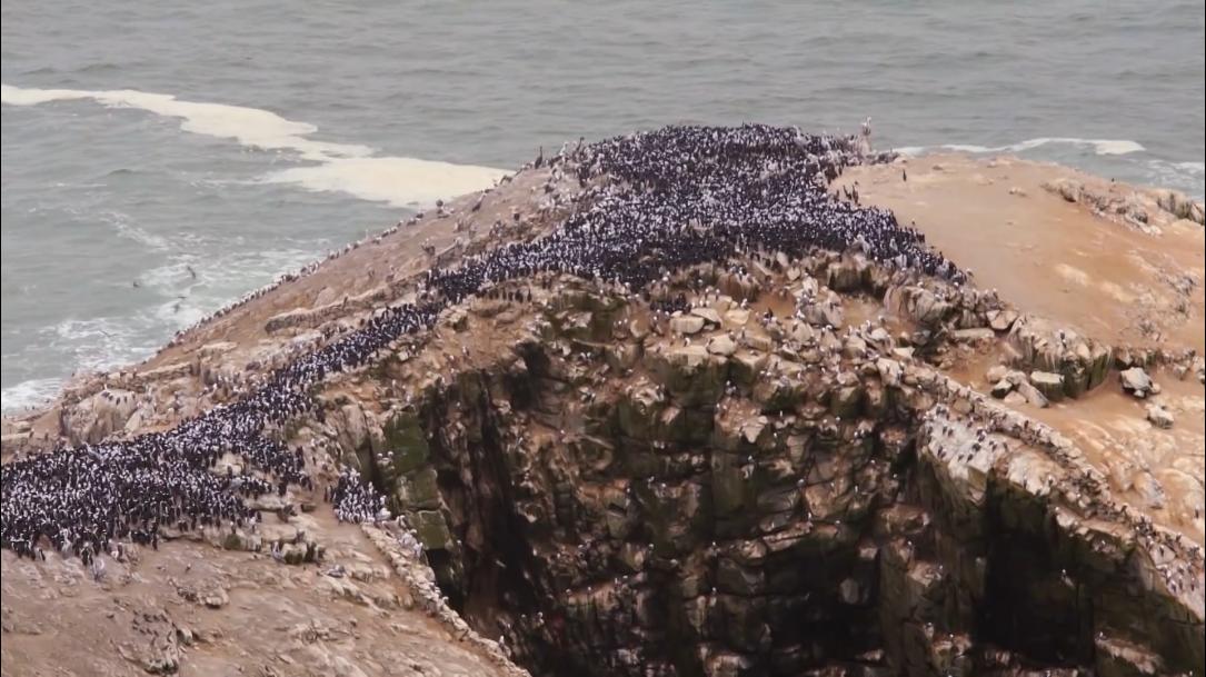 66岁渔民打鱼,60岁渔民捕鱼