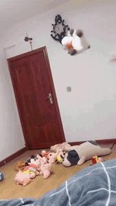 老虎：这是我准备养大吃的，你来凑什么热闹