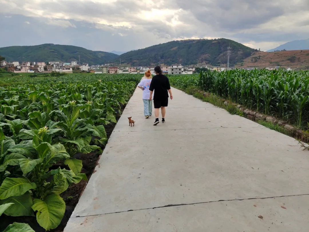 习甸镇,怀远古镇