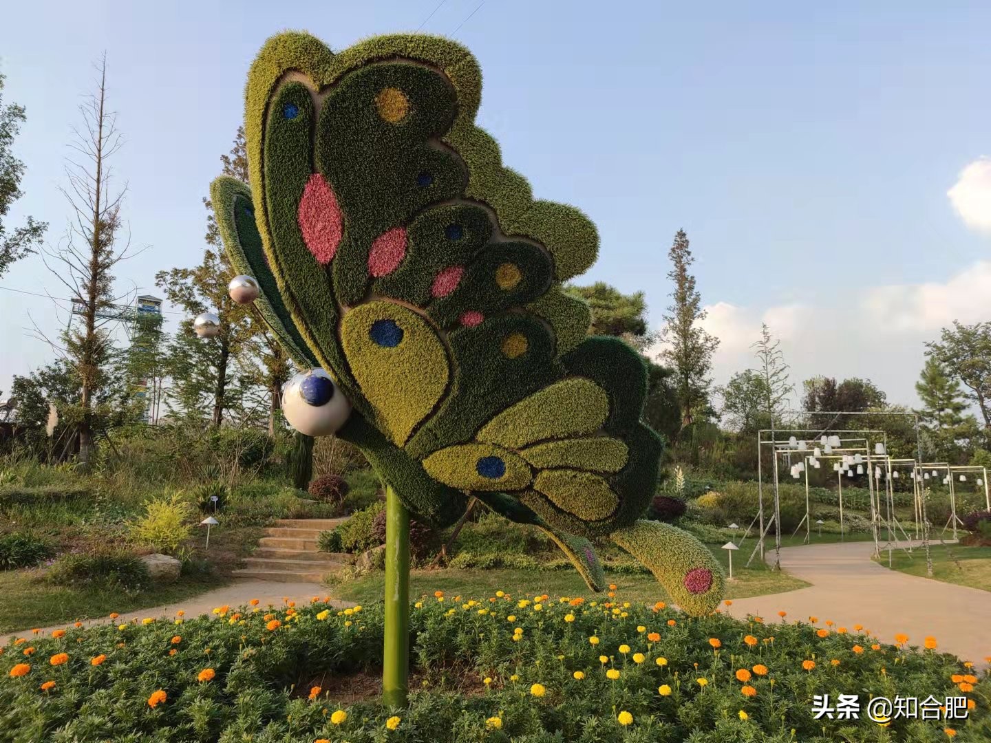 肥西一日游必去景点,合肥肥西周末游