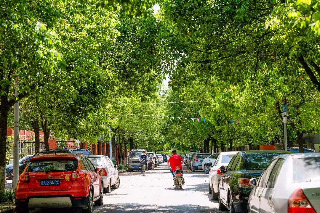 在武汉必做的20件事,武汉生活指南100条