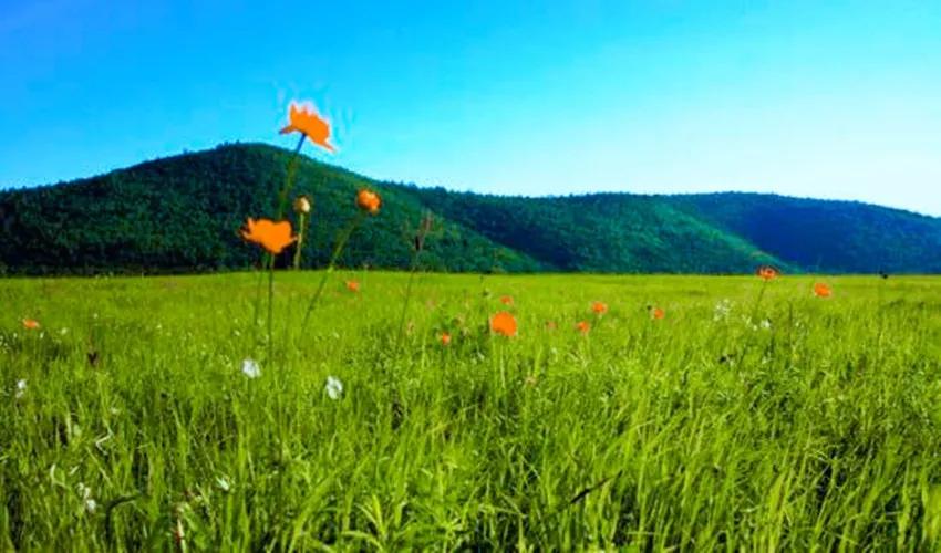 呼伦贝尔好客草原私人牧场,呼伦贝尔著名草原