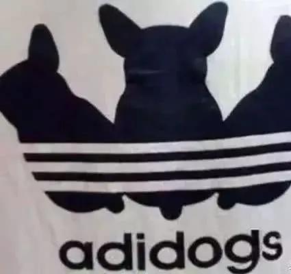 中过山寨产品招的请举手。