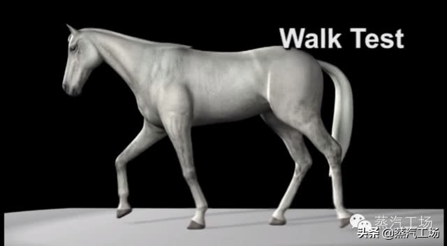 定格动画技术：如何拍摄“行走”