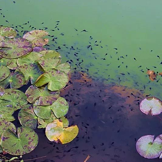 一去梵净,便懂了最美中国风