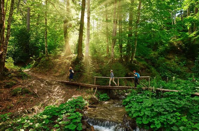 首届梦控师线下工作坊：走在梦的路上，胜过人间天堂