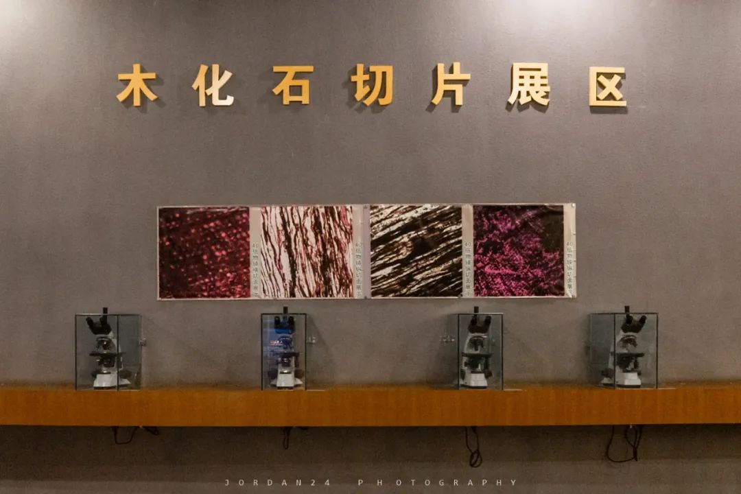 綦江城区游,重庆綦江区旅游