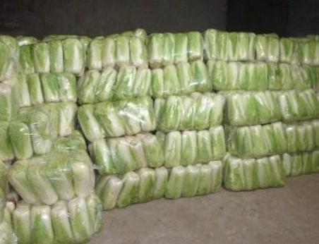 白菜怎么储存不容易烂,白菜怎么储存放久点好吃