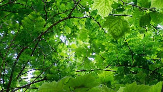 开封自驾日照途中好玩的地方 (开封附近一日游自驾游推荐)