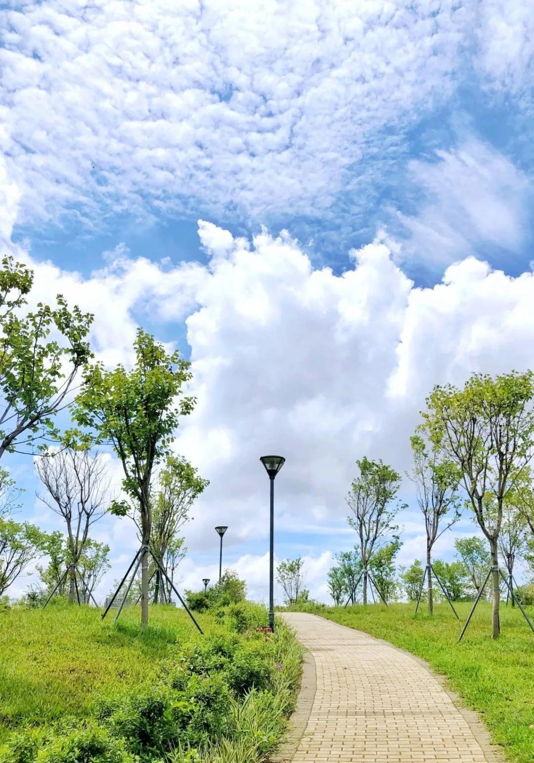 深圳不为人知的好地方,深圳不为人知的美景