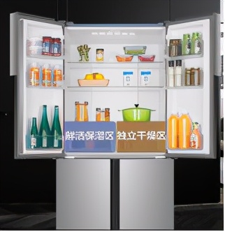冰箱质量排行榜中国前十名,对开门冰箱质量排行榜前十名
