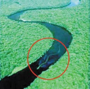 巨蟒遇到巨蟒,狂蟒之灾水潭惊现巨蟒