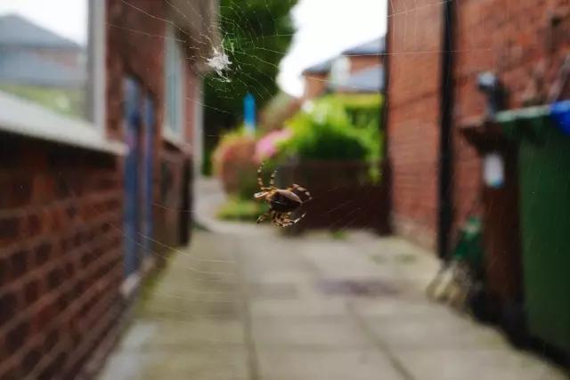 手机里的图片模糊不清怎么弄清晰,发朋友圈图片模糊变清晰处理方法