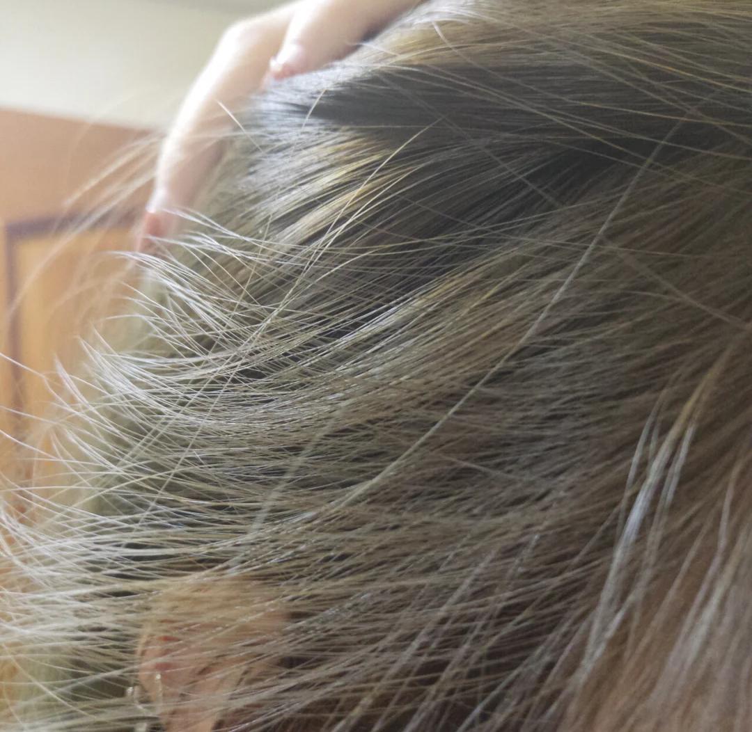 资生堂直发修复持久洗发水,适合染烫发质的去屑洗发水