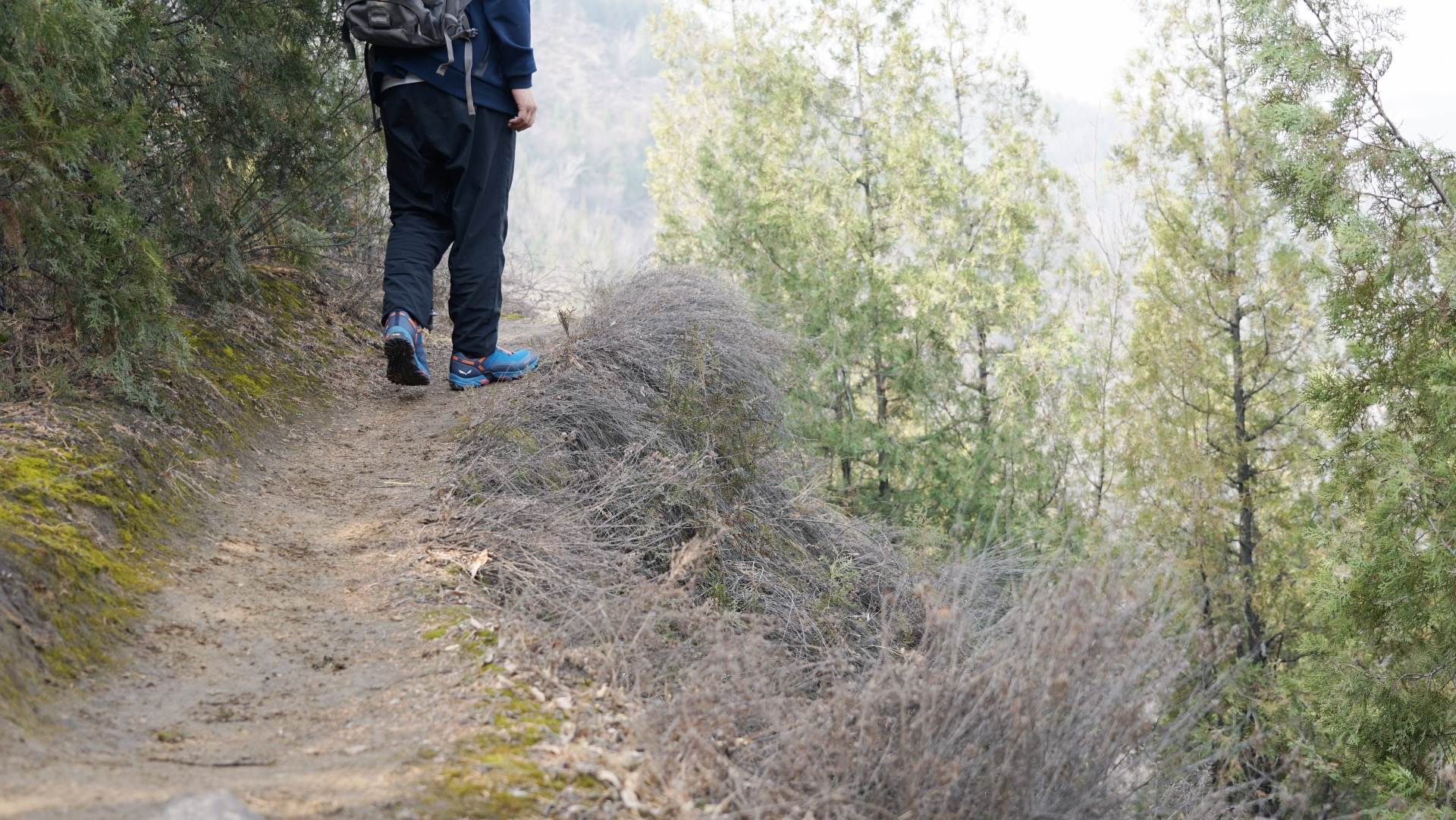 春游准备计划,制定春游小计划