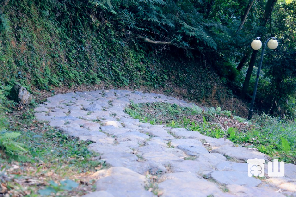 坚果pro2s与魅族pro7,坚果pro2s和小米8se对比