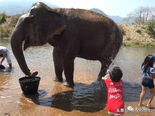亲子游需要带孩子去旅行吗,带孩子去旅行的最佳方式