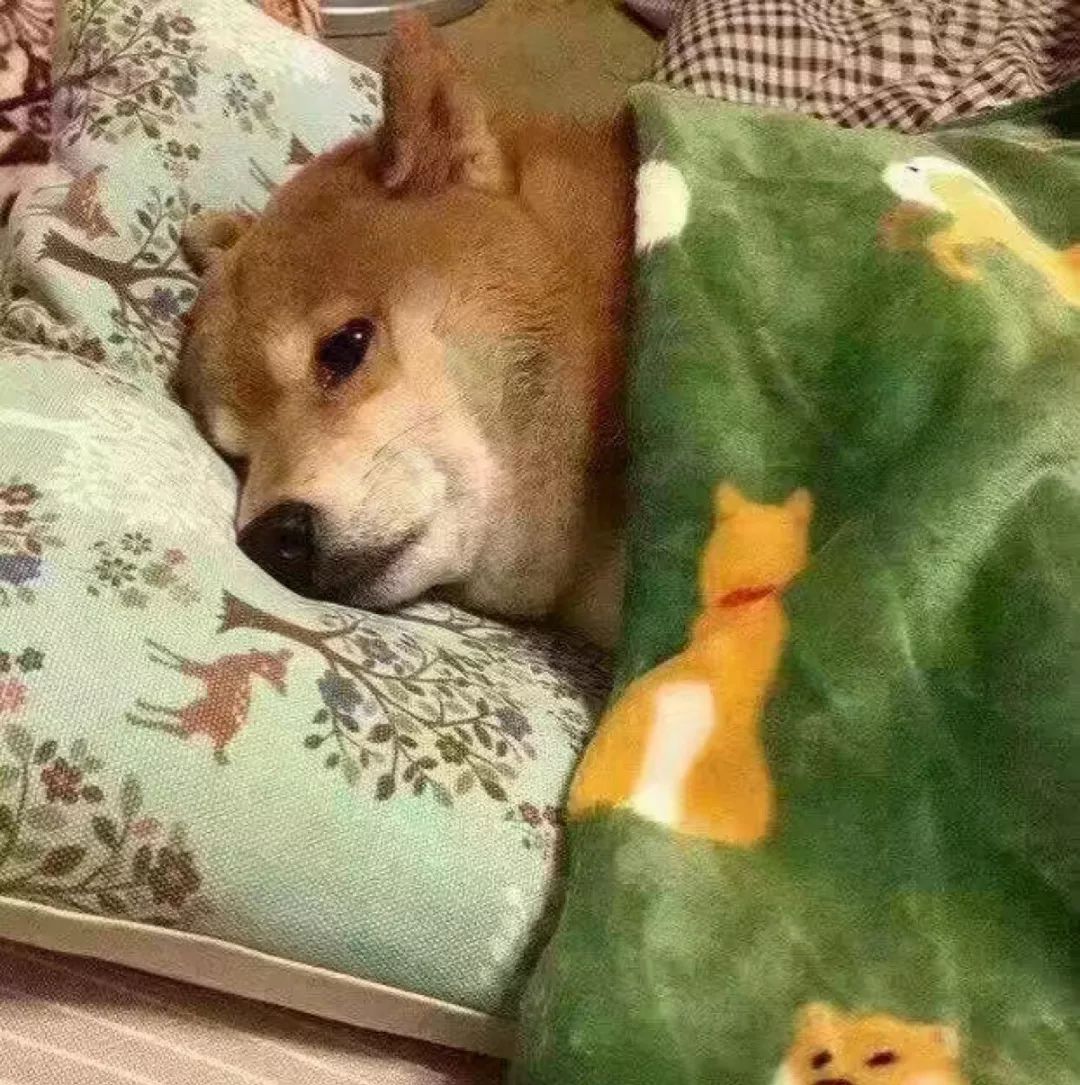 移民香港的感受,刚移民香港做什么工作