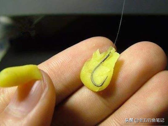 四川禁渔期一杆一线一钩可钓鱼吗,河南禁渔期一杆一线一钩可钓鱼吗