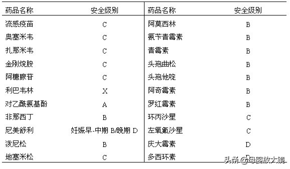 一张图了解孕期,一图看懂孕期食物