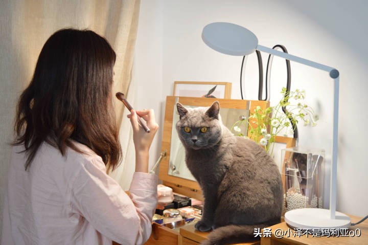 飞利浦智睿国aa级别台灯测评,国a级和国aa级台灯