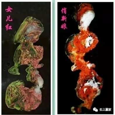 涓撳pk鏁欐巿,pk涓撳