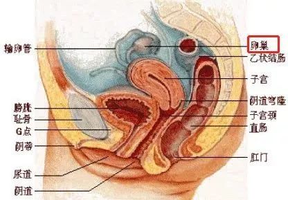 揭秘网红店美容院的成功秘诀,揭露美容院骗局