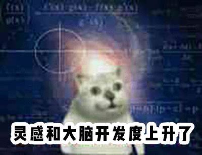 10元以内的好物假睫毛,10块一盒假睫毛