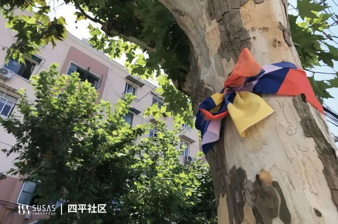 杨浦四平展区开幕，看点都在这一篇