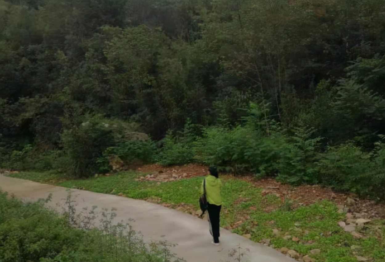 关于登高望远山水的古诗名句,登高望远原创诗词