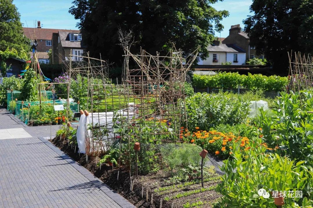 二木带你游花园|邱园（kewgarden）离我们到底有多远？