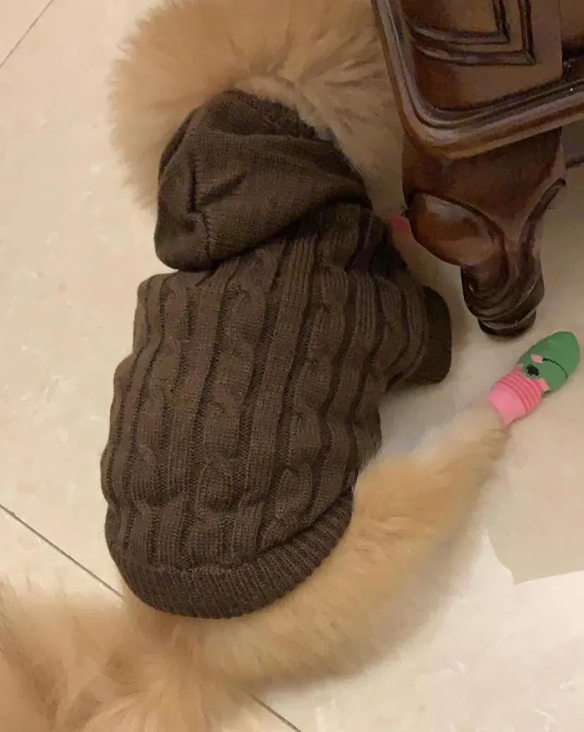 天下第一帅,天下第一帅英语