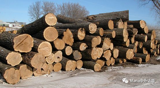 美国硬木干货价格,北美硬木排行