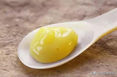 多少钱一斤的蜂王浆比较靠谱,蜂王浆多少钱一斤合理